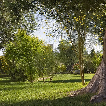 Relais Masseria Caselli カロヴィーニョ